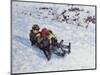 Sledging III-Paul Gribble-Mounted Giclee Print