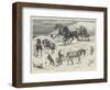 Sledging in the Isle of Bute-null-Framed Giclee Print