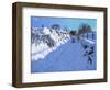 Sledging, near Oakerthorpe Rd, Wirksworth, 2021 (oil on canvas)-Andrew Macara-Framed Giclee Print