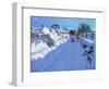 Sledging, near Oakerthorpe Rd, Wirksworth, 2021 (oil on canvas)-Andrew Macara-Framed Giclee Print