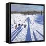 Sledging,Wollaton Park ,2017,(oil on canvas)-Andrew Macara-Framed Stretched Canvas