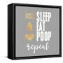 Sleep, Eat, Poop-Evangeline Taylor-Framed Stretched Canvas