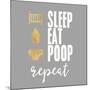 Sleep, Eat, Poop-Evangeline Taylor-Mounted Art Print