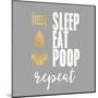 Sleep, Eat, Poop-Evangeline Taylor-Mounted Art Print