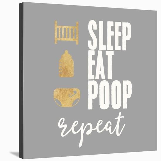 Sleep, Eat, Poop-Evangeline Taylor-Stretched Canvas