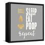 Sleep, Eat, Poop-Evangeline Taylor-Framed Stretched Canvas