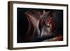 Sleep Huddle-Martin Stantchev-Framed Photographic Print