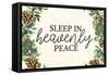 Sleep In-Ann Bailey-Framed Stretched Canvas