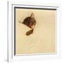 Sleep Like a Kitten-Guido Gruenwald-Framed Giclee Print