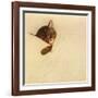 Sleep Like a Kitten-Guido Gruenwald-Framed Giclee Print