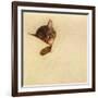 Sleep Like a Kitten-Guido Gruenwald-Framed Giclee Print