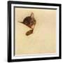 Sleep Like a Kitten-Guido Gruenwald-Framed Giclee Print