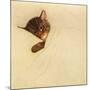 Sleep Like a Kitten-Guido Gruenwald-Mounted Giclee Print