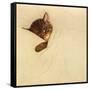 Sleep Like a Kitten-Guido Gruenwald-Framed Stretched Canvas