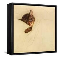 Sleep Like a Kitten-Guido Gruenwald-Framed Stretched Canvas