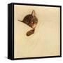 Sleep Like a Kitten-Guido Gruenwald-Framed Stretched Canvas