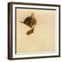 Sleep Like a Kitten-Guido Gruenwald-Framed Giclee Print