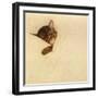 Sleep Like a Kitten-Guido Gruenwald-Framed Giclee Print