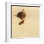 Sleep Like a Kitten-Guido Gruenwald-Framed Giclee Print