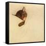 Sleep Like a Kitten-Guido Gruenwald-Framed Stretched Canvas