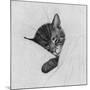 Sleep Like a Kitten-Guido Gruenwald-Mounted Giclee Print