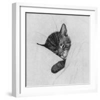 Sleep Like a Kitten-Guido Gruenwald-Framed Giclee Print