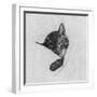 Sleep Like a Kitten-Guido Gruenwald-Framed Giclee Print