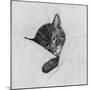 Sleep Like a Kitten-Guido Gruenwald-Mounted Giclee Print