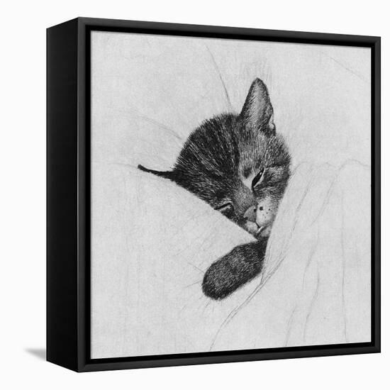 Sleep Like a Kitten-Guido Gruenwald-Framed Stretched Canvas