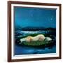 Sleep-Nancy Tillman-Framed Art Print