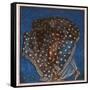 Sleep-John Byam Liston Shaw-Framed Stretched Canvas