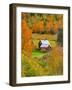 Sleephollow-Dan Sproul-Framed Photo