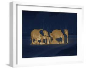 Sleeping African Elephants (Loxodonta Africana), Two Adults and Offspring, Masai Mara, Kenya-Martin Dohrn-Framed Photographic Print