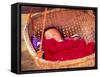 Sleeping Baby in Hanging Basket, Hue, Vietnam-Keren Su-Framed Stretched Canvas