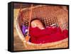 Sleeping Baby in Hanging Basket, Hue, Vietnam-Keren Su-Framed Stretched Canvas