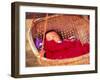 Sleeping Baby in Hanging Basket, Hue, Vietnam-Keren Su-Framed Photographic Print