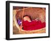 Sleeping Baby in Hanging Basket, Hue, Vietnam-Keren Su-Framed Photographic Print