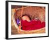 Sleeping Baby in Hanging Basket, Hue, Vietnam-Keren Su-Framed Photographic Print