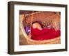 Sleeping Baby in Hanging Basket, Hue, Vietnam-Keren Su-Framed Photographic Print