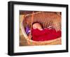 Sleeping Baby in Hanging Basket, Hue, Vietnam-Keren Su-Framed Photographic Print