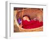 Sleeping Baby in Hanging Basket, Hue, Vietnam-Keren Su-Framed Photographic Print