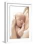 Sleeping Baby-Ruth Jenkinson-Framed Photographic Print