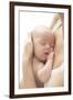 Sleeping Baby-Ruth Jenkinson-Framed Photographic Print