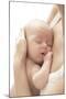 Sleeping Baby-Ruth Jenkinson-Mounted Photographic Print