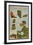 Sleeping Bear Dunes, Michigan - Sleeping Bear Dunes Legend Map-Lantern Press-Framed Art Print