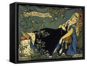 Sleeping Beauty-Konrad Dielitz-Framed Stretched Canvas