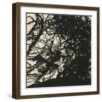 Sleeping Beauty-Arthur Rackham-Framed Art Print