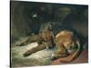 Sleeping Bloodhound-Edwin Henry Landseer-Stretched Canvas