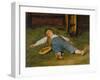 Sleeping Boy in the Hay, 1891-97-Albert Anker-Framed Giclee Print