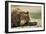 Sleeping Brown Bear, Katmai National Park, Alaska-Paul Souders-Framed Premium Photographic Print